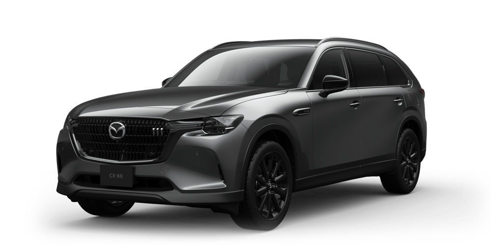 xd-drive-edition-nappa-leather-package_default_l