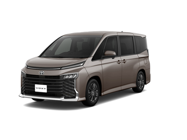 VOXY S-G
